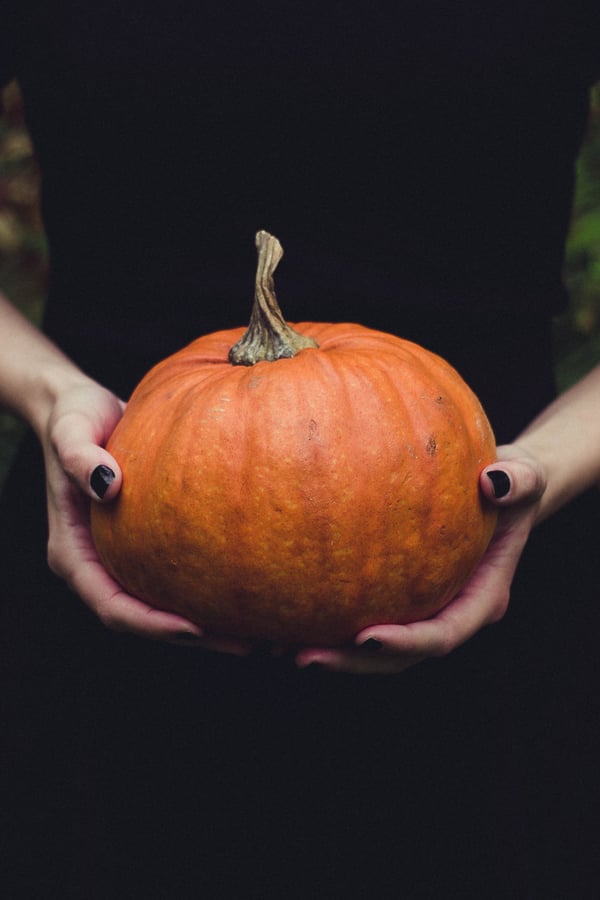 A girl in a black dress holding a pumpkin - very witchy, very autumnal, very Halloween. 