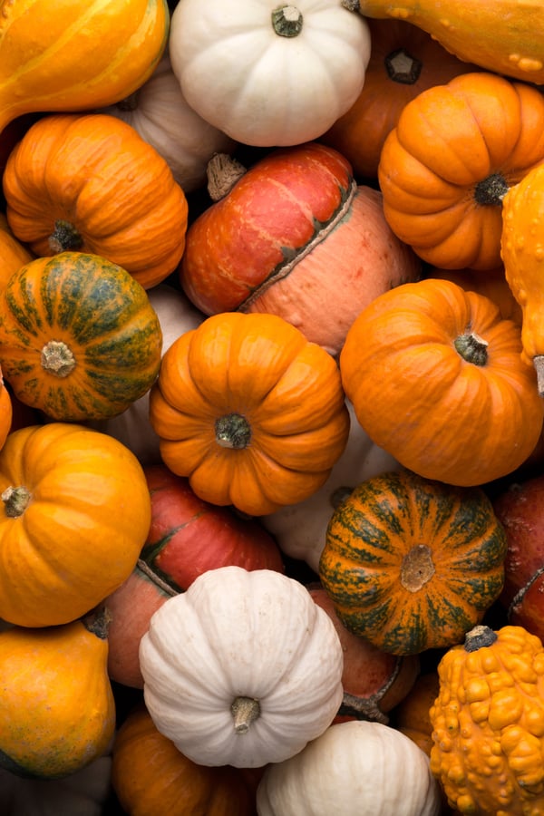 Pumpkins!