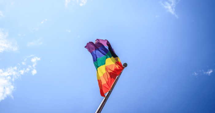 Rainbow flag