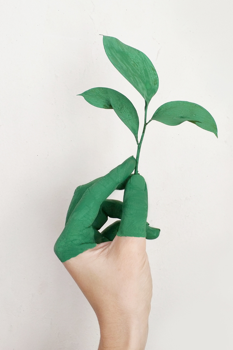 A photo of a hand holding a seedling, and half the hand is painted green.