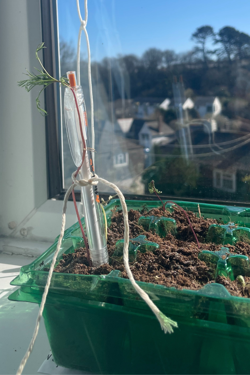 A photo of a branded pen tied to a seedling as a support cane in a planter on a windowsill.