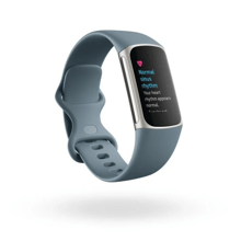 Fitbit Charge 5 in Grey