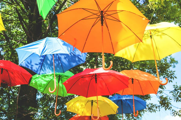 assorted-color-hanged-umbrellas-near-tree