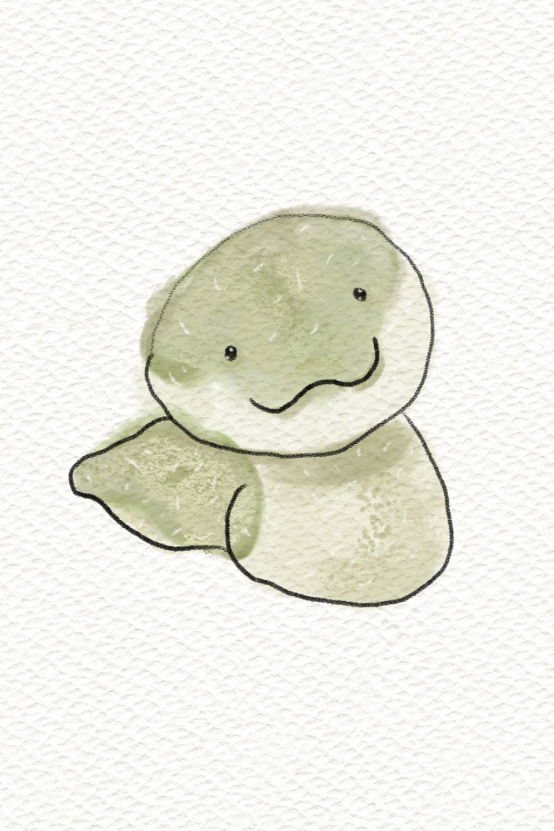 An illustration drawing doodle watercolour of a Jellycat Little Snake.