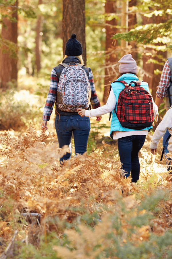 A group of hikers of various ages walking through an autumnal forest for a soft adventure excursion.
