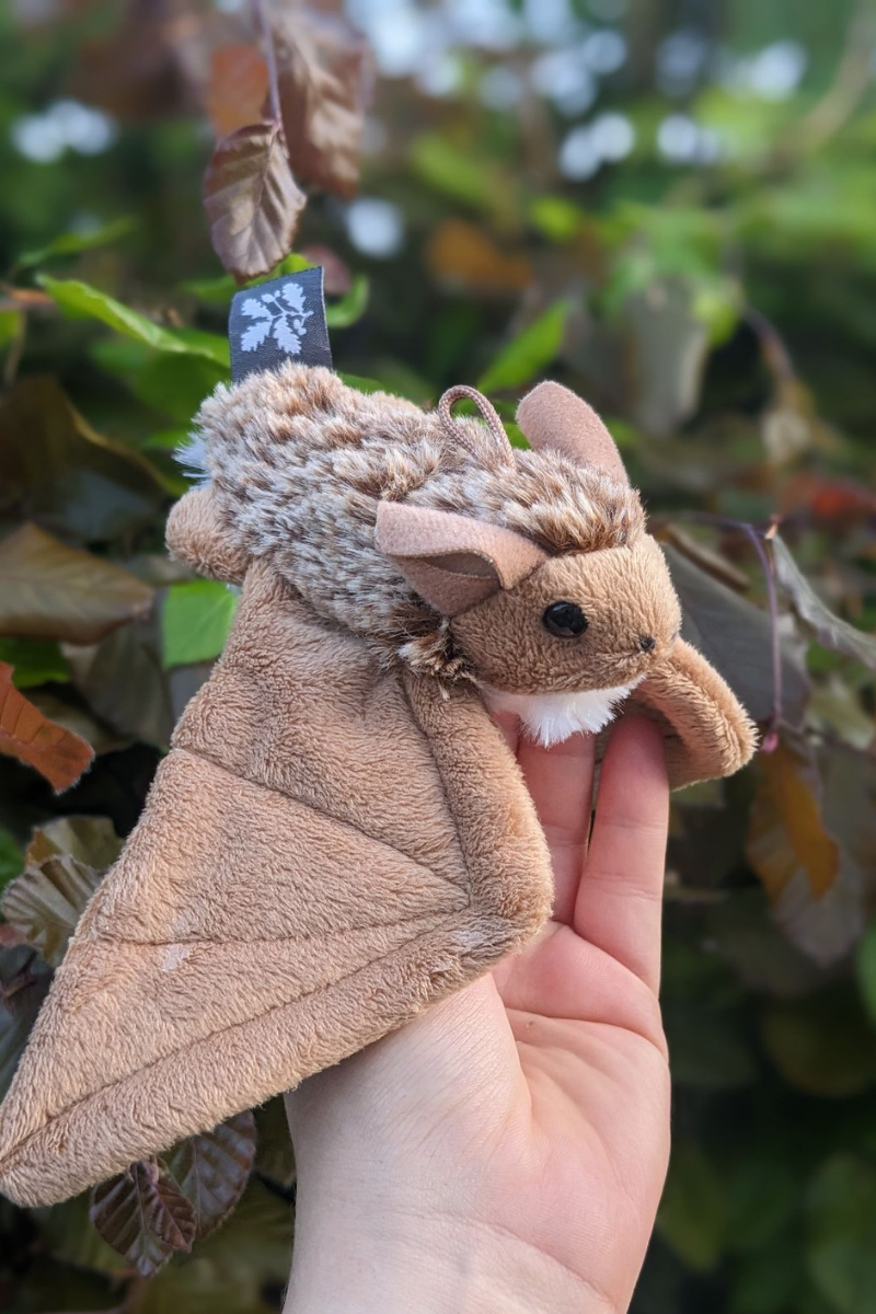 A National Trust bat plushie from the Lanhydrock gift shop in Cornwall. 