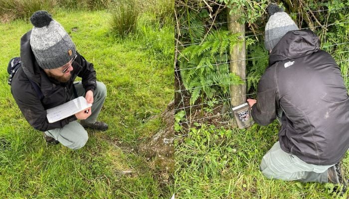 Roy volunteering with the Cornwall Wildlife Trust on Helman Tor, near Bodmin collecting wildlife cameras and checking setups.