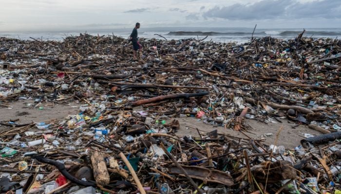Plastic pollution on a beach.