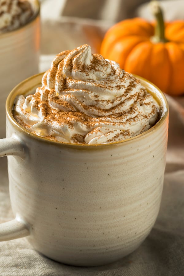 A PSL (Pumpkin Spice Latte) with whipped cream and cinnamon on top.