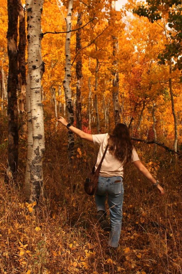 Someone going for a mental health walk in an autumnal forest.