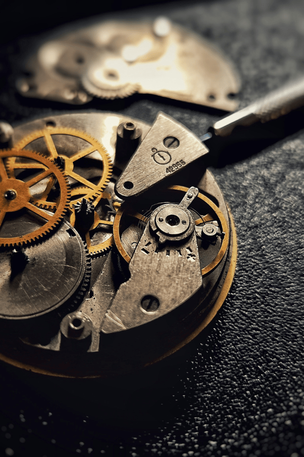 The insides of a watch. 