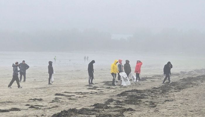 beach clean (6)