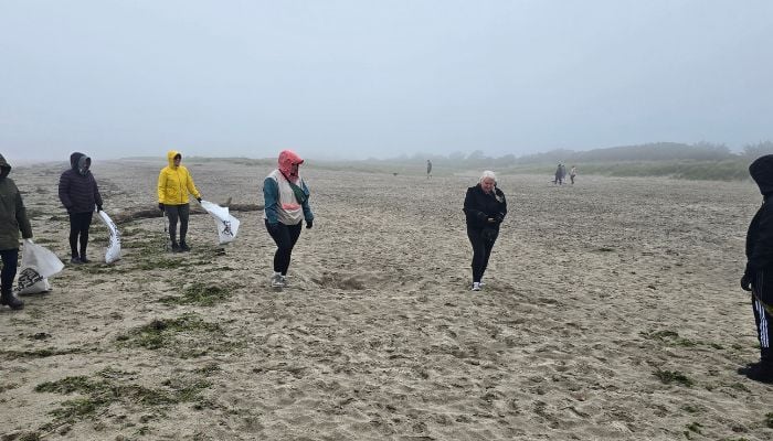 beach clean (8)