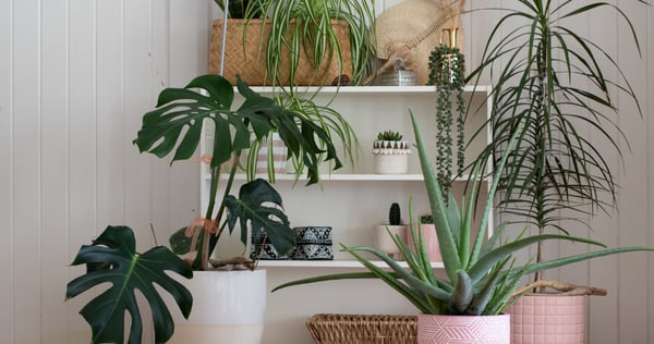 blog-headers-2023-_4_-1