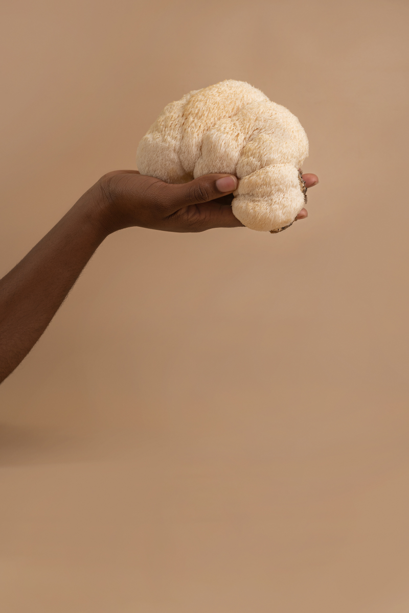 someone holding a lion's mane mushroom for holistic wellness.