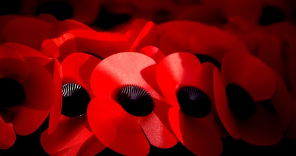 remembrance day products