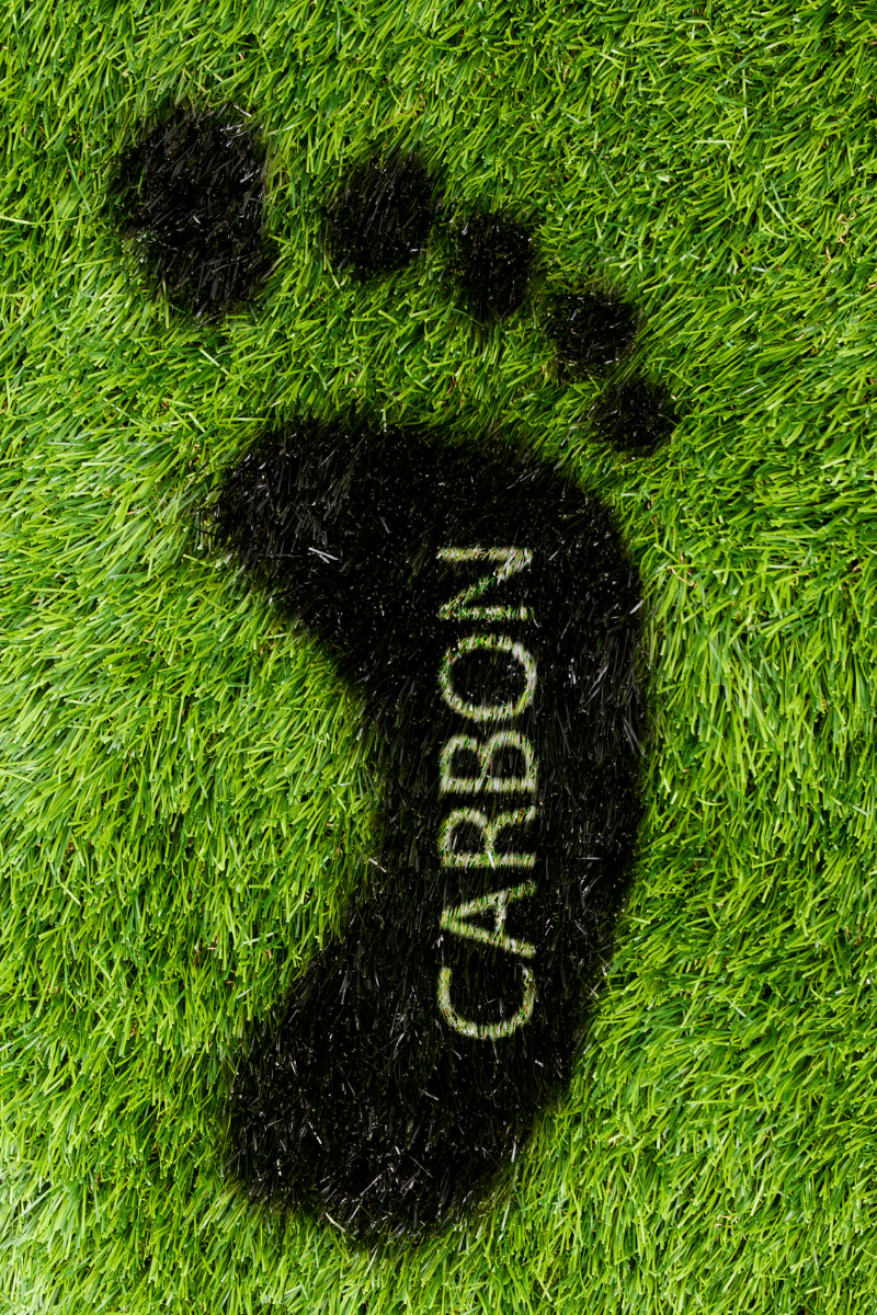 a footprint made of carbon on grass to depict the sustainability business trend of carbon net zero