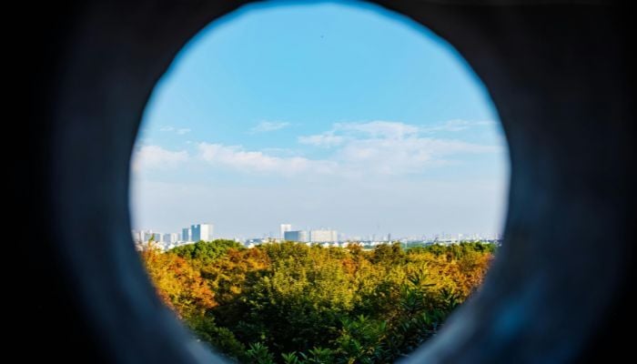 what is circular design