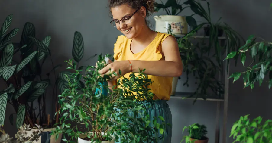 5 plant influencers your brand can learn from